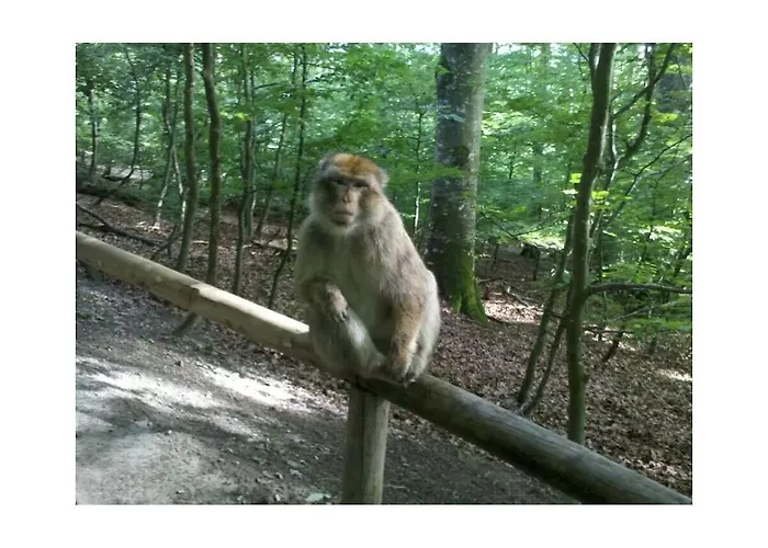 Trostelhof 5 Salem (Baden-Wurttemberg)